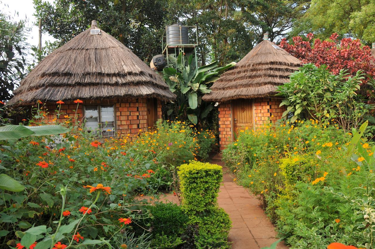 New Court View Hotel Masindi Extérieur photo