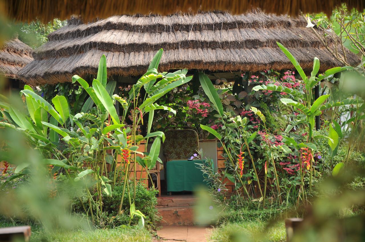New Court View Hotel Masindi Extérieur photo