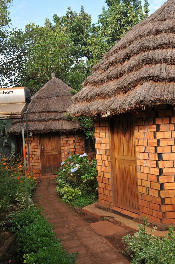 New Court View Hotel Masindi Extérieur photo
